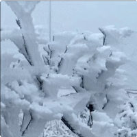 杭州多地飘雪   CDN加速包流量包价格