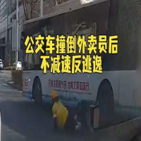 公交撞翻外卖员逃逸 司机已停职   郑州CDN加速流量包1PB价格