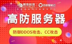 服务器租用时高防CDN和高防IP哪个防御DDOS效果好？