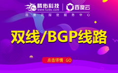 国内bgp高防服务器租用哪家好点？